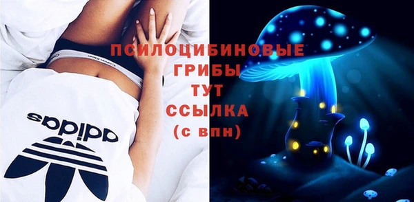 дурь Белоозёрский