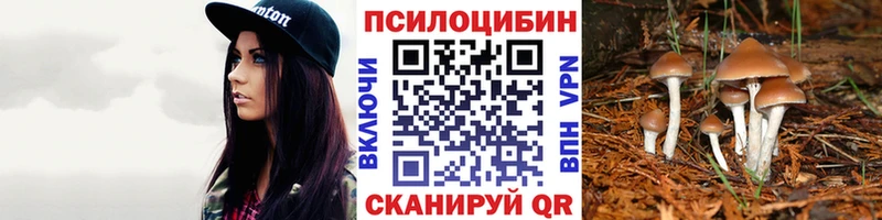 Галлюциногенные грибы Psilocybe  Купить закладки  Лаишево 