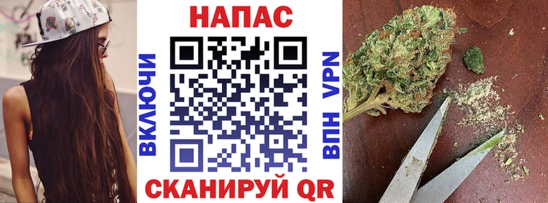 Купить закладки  Лаишево  Канабис сатива 